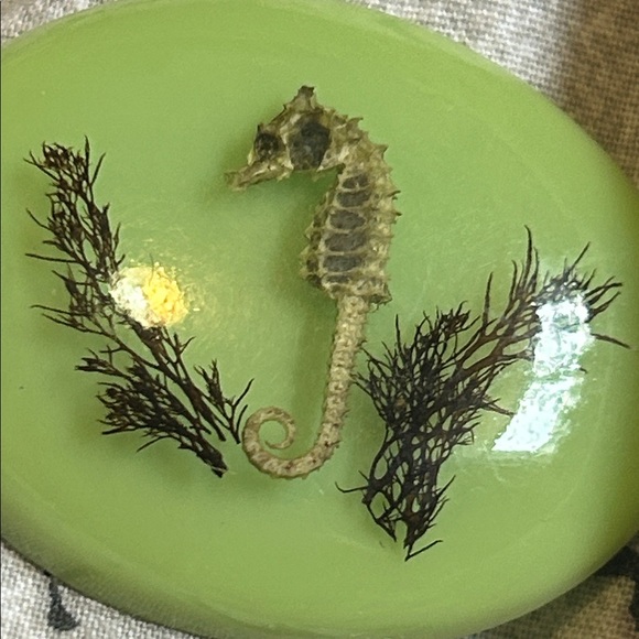 Real Seahorse Vintage Brooch taxidermy - Picture 3 of 3
